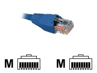 Nexxt UTP Patch Cord Cat5e 1m Azul | Conectividad Redes Gigabit