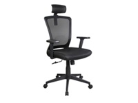 Xtech Avignon Chair Exec Black/w/arm/headrest/mesh XTF-OC414