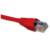 Nexxt Patch Cord Cat6 UTP 2m Rojo | Conexión Gigabit Fiable